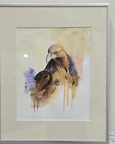 To Brouns-Schijns  - The eagle has landed
