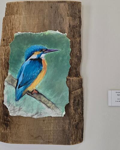 Annemiek Nijholt - Ijsvogel